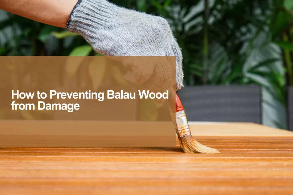 preventing balau wood from damage