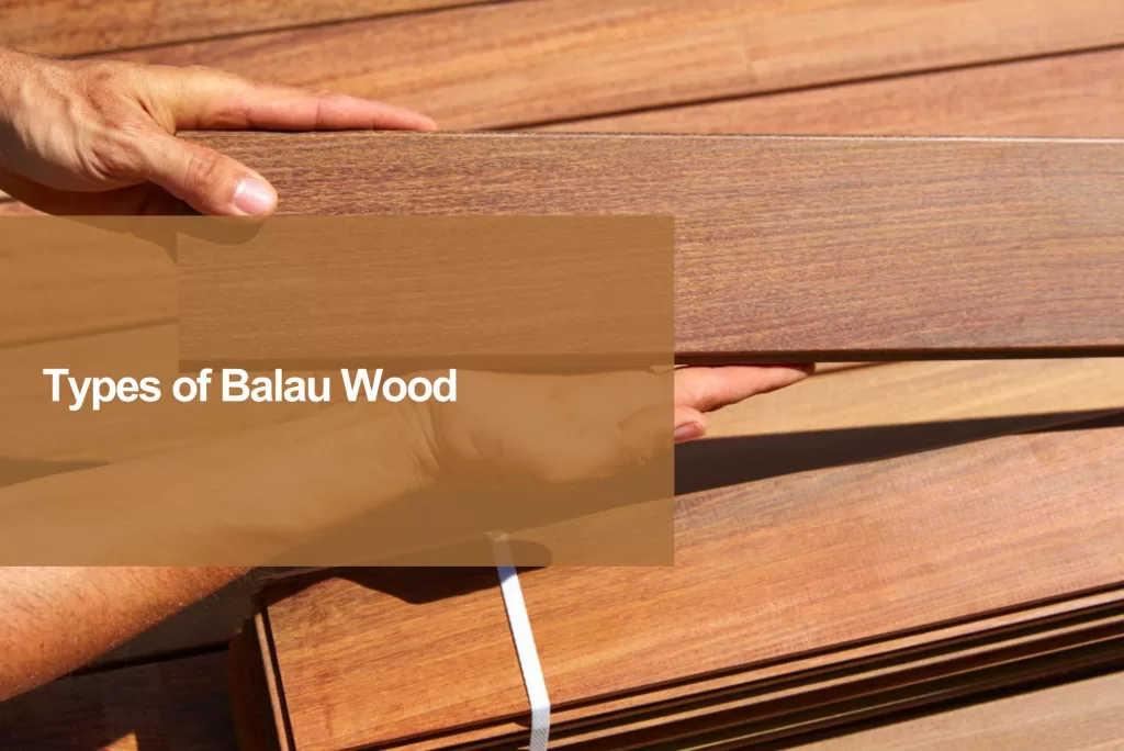 types balau wood
