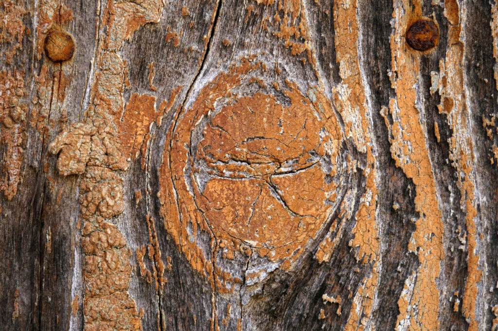 close grain wood