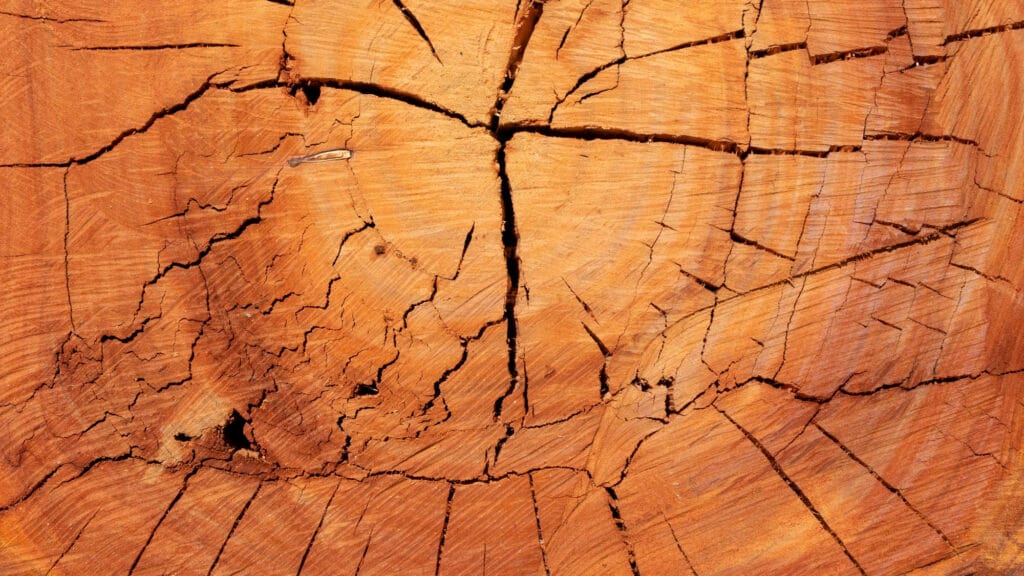 is protected from cracking