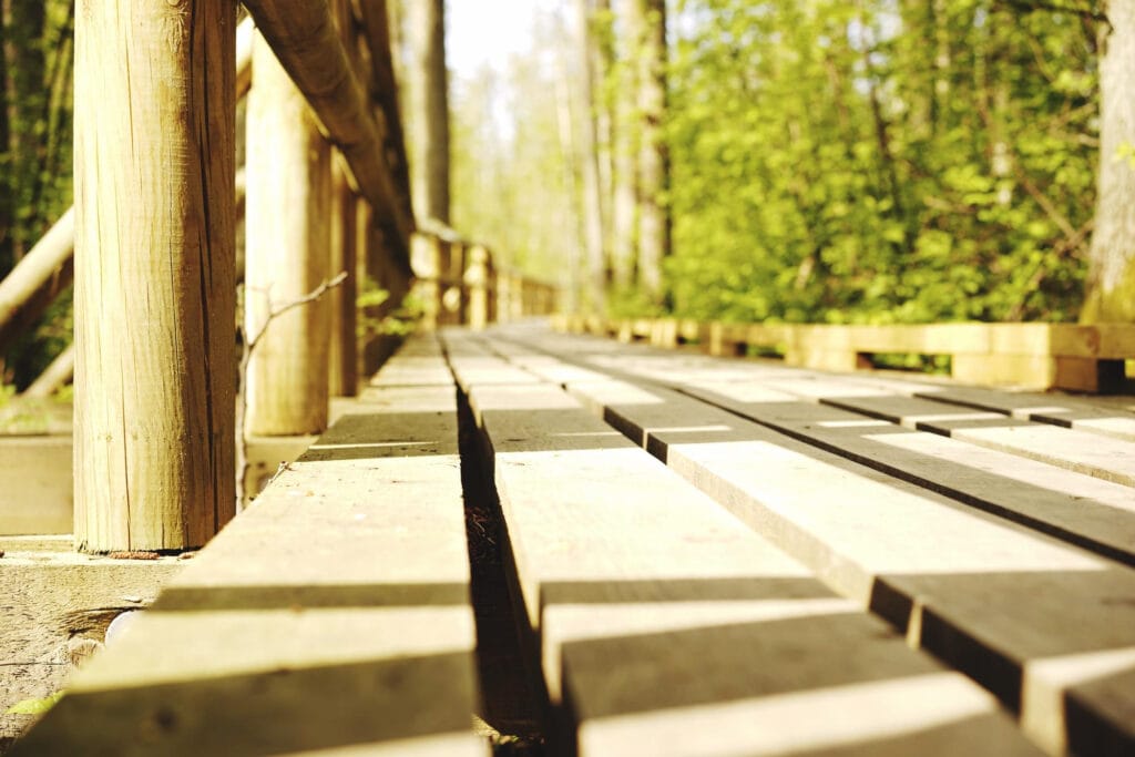 environmental impact of using wood