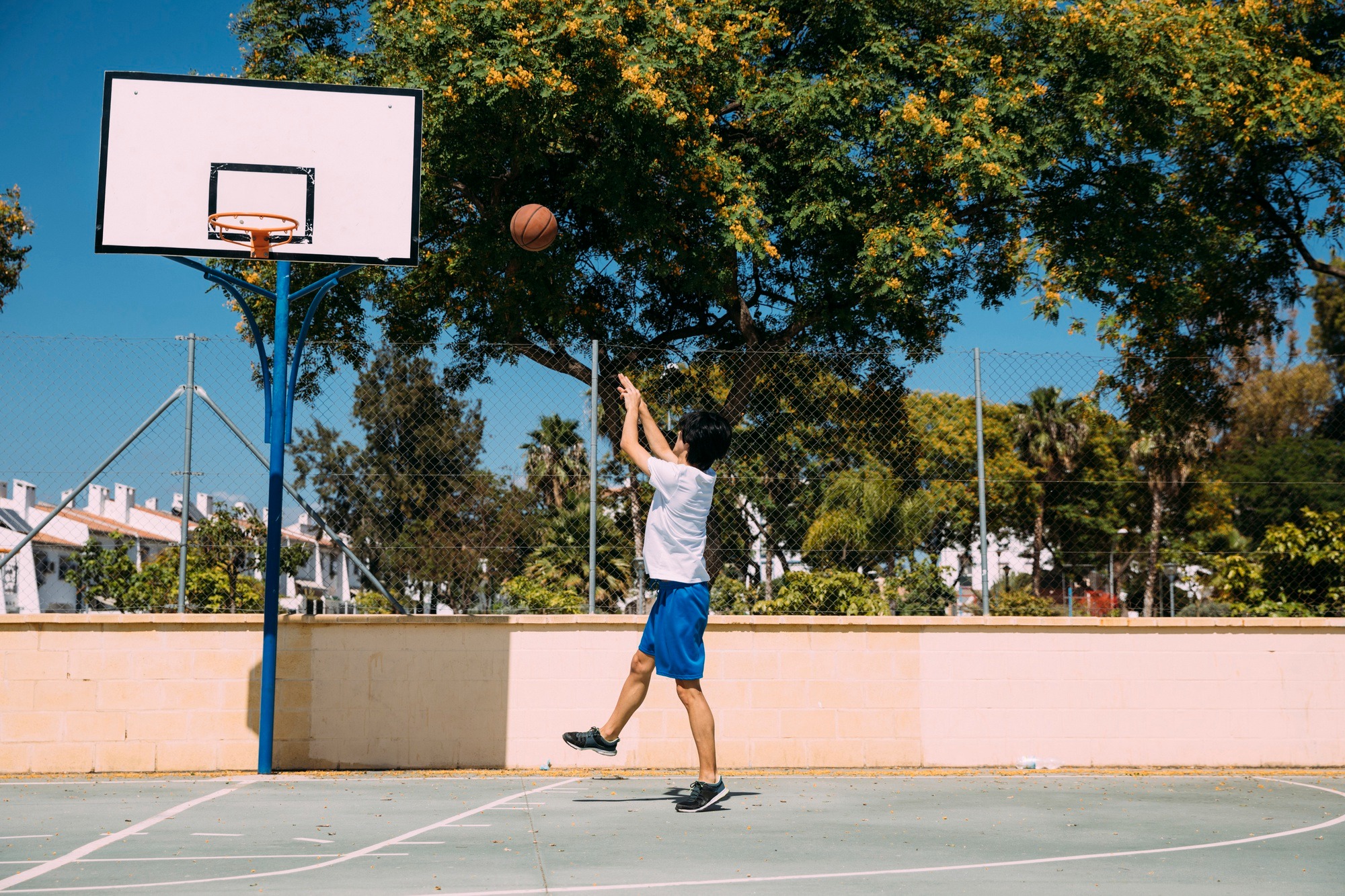 Everything You Need for a DIY Mini Basketball Court