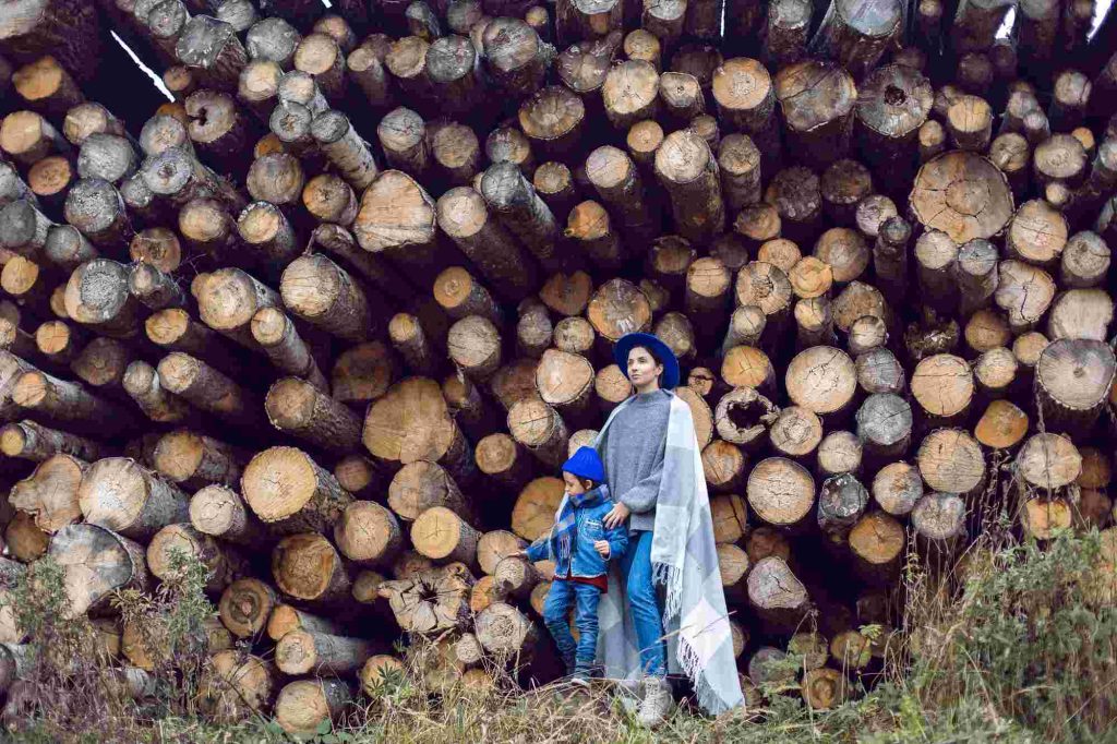 sustainable wood is a legacy